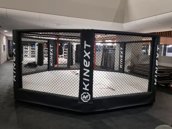 Октагон TARGEX на помосте высотой 0,3 м