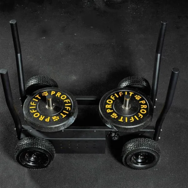 Сани-тележка для функционального тренинга (Тренажер Tank) TANGEN