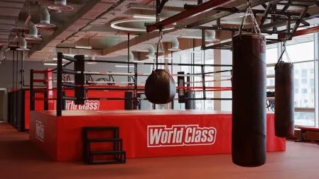 Ринг боксерский TARGEX на помосте высотой 1 м