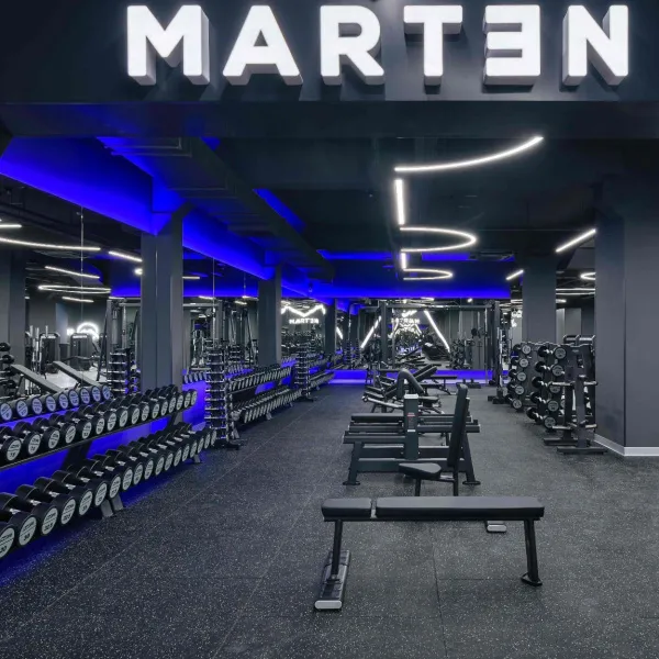 E7038 Стул для жима сидя