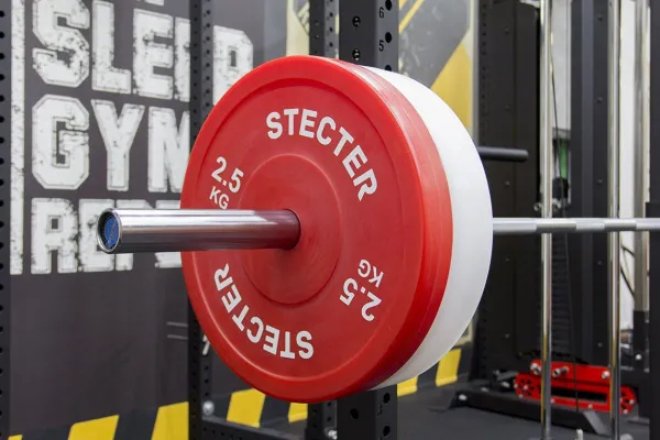 Технический диск для штанги 2,5 кг STECTER (D=450 мм, пластик)