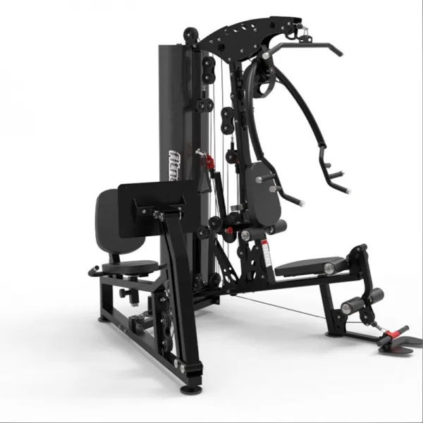 Мультистанция Apex Intense F 800В с жимом ногами