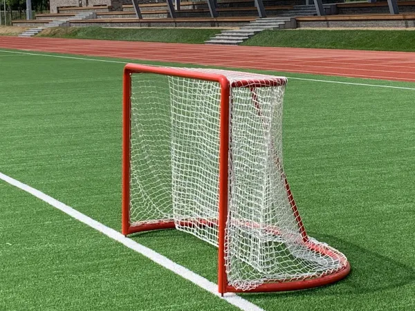 Ворота хоккейные профессиональные (крепление под шпильку)