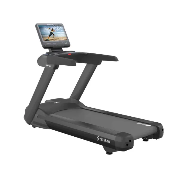 Профессиональная беговая дорожка SHUA SH-T8919T22 (21,5" экран)