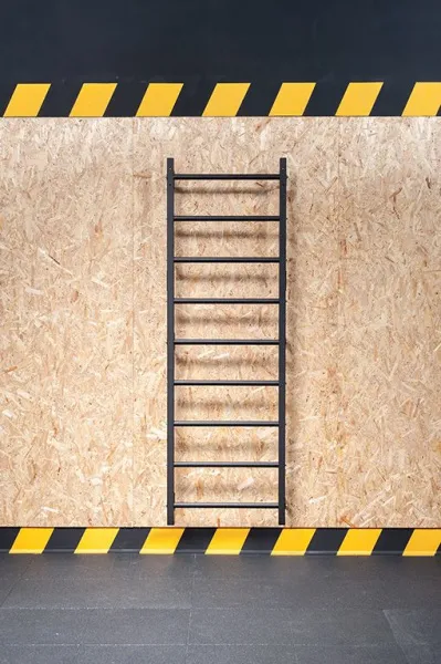 Шведская  стенка STECTER WALL