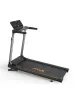 Электрическая беговая дорожка Fitex OVERLORD