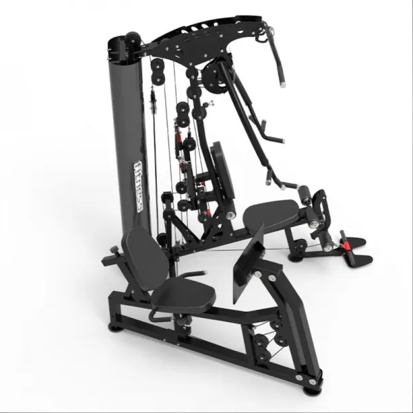 Мультистанция Apex Intense F 800В с жимом ногами