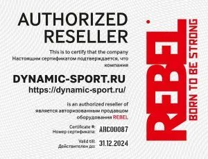 Сертификат официального диера REBEL