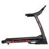 Беговая дорожка CardioPower T35