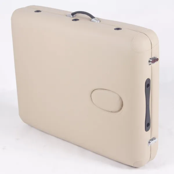 Массажный стол DFC PROFI2 TS212H складной