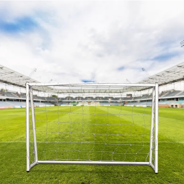 Ворота игровые DFC GOAL120 120x80x55cm