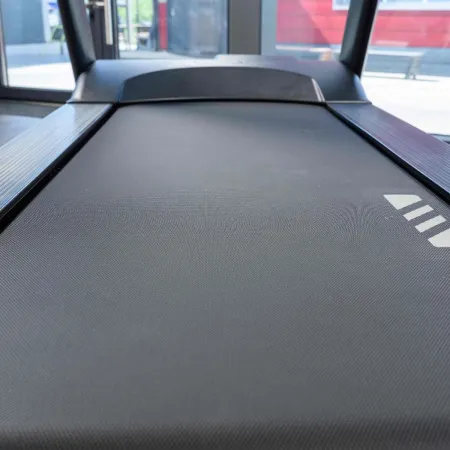 Профессиональная беговая дорожка SHUA SH-T8919T (15,6" экран)