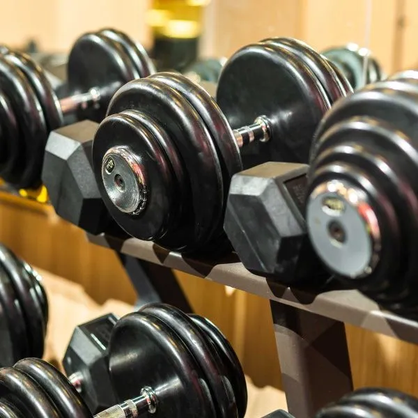 Гантельный ряд BASIC (шаг 2,5 кг, 10 пар) PROFI-FIT 2,5-25 кг*