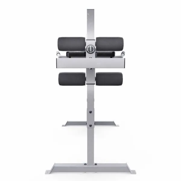 Гиперэкстензия / римский стул DFC CAP, серебряный