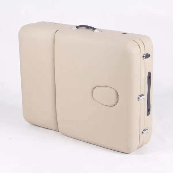 Массажный стол DFC PROFI3 TS312H складной