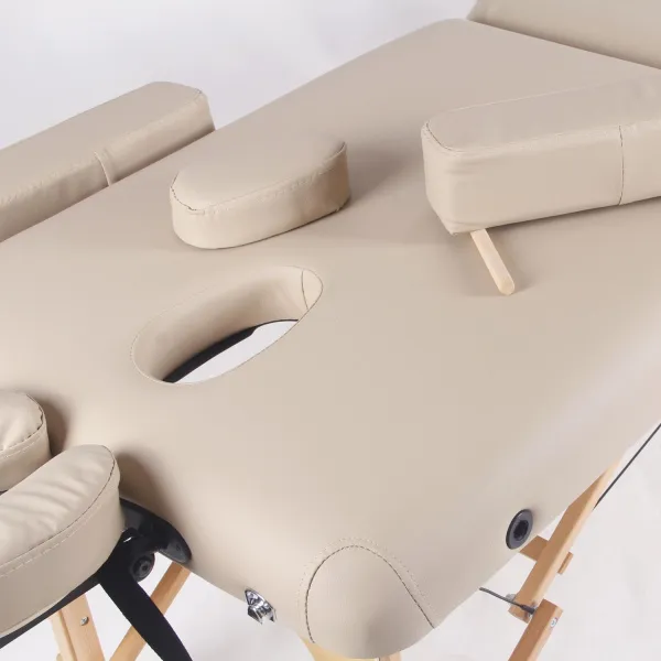 Массажный стол DFC PROFI2 TS212H складной