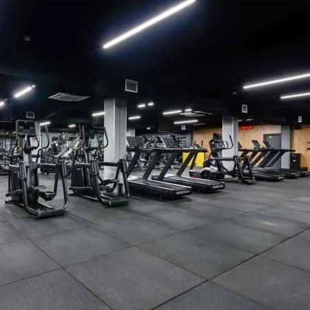 Эллиптический тренажер SHUA SH-B9100E (Led display)