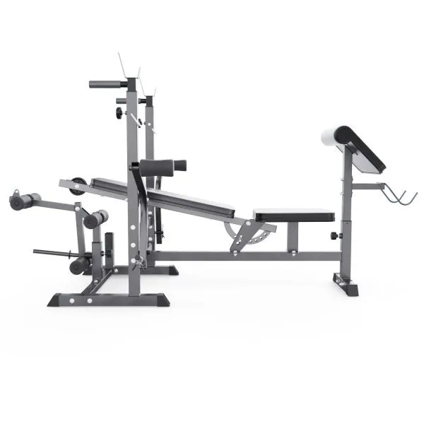 Скамья со стойками под штангу DFC GYRONETICS GN008 с партой для бицепса