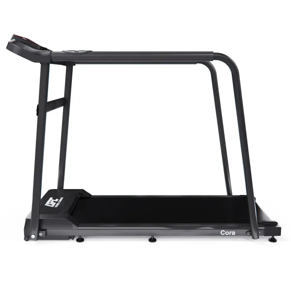 Беговая дорожка DFC Cora T165