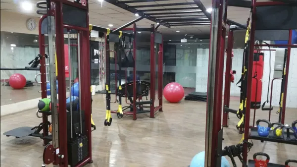 Станция для функционального кругового тренинга Pangolin Fitness SYNERGY 360XL