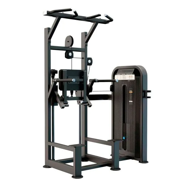 U3009D Турник, брусья с противовесом. Стек 99 кг