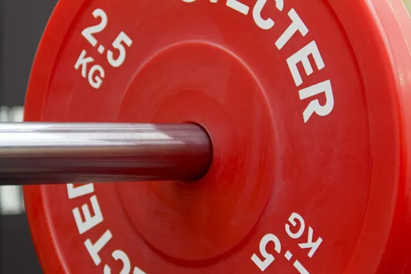 Технический диск для штанги 2,5 кг STECTER (D=450 мм, пластик)