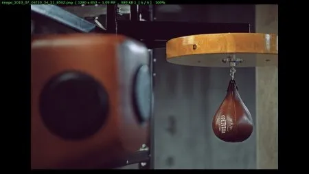 Груша пневматическая кожаная боксерская TOTALBOX (Коричневый)