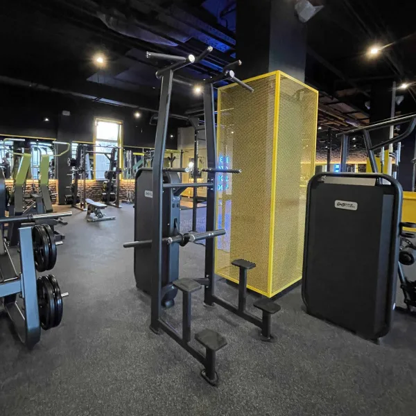 E7009JZ Турник, брусья с противовесом. Стек 135 кг