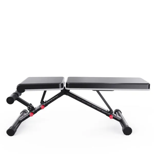 Скамья универсальная для жима DFC GT-616 / до 350 кг