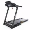 Беговая дорожка DFC LONGTEK T-X510G