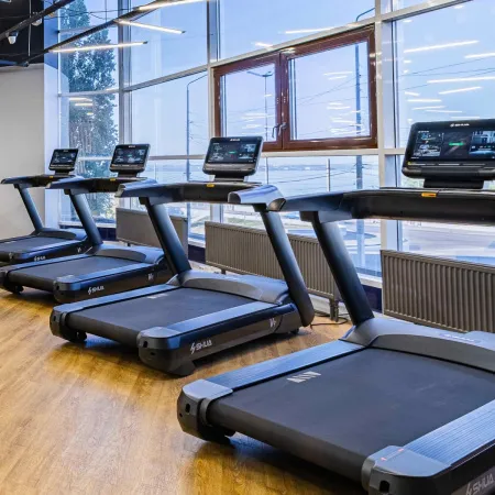 Профессиональная беговая дорожка SHUA SH-T8919T (15,6" экран)