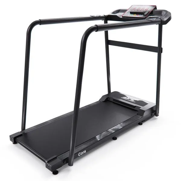 Беговая дорожка DFC Cora T165