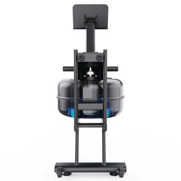 Водный гребной тренажер DFC ECHANFIT R-CRW4108