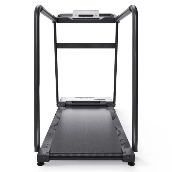 Беговая дорожка DFC Cora T165