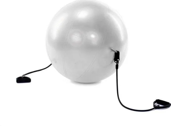 Мяч для фитнеса «ФИТБОЛ-65 с эспандерами»