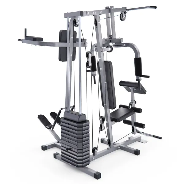 Силовой комплекс DFC HomeGym D7002-60