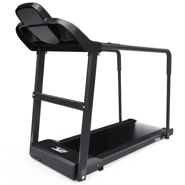 Беговая дорожка DFC Romy T195