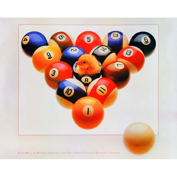 Постер Chicken 75×60см