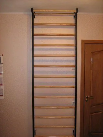 Шведская стенка (металл/береза)