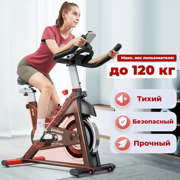 Спин-байк DFC Pooboo