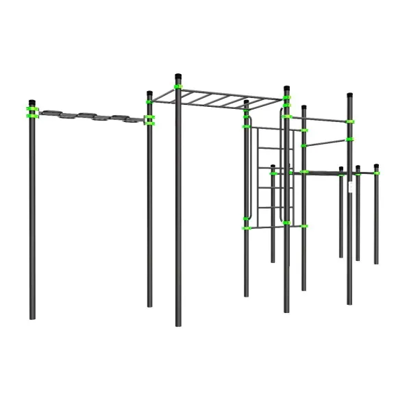 W229 Воркаут (рукоход змеевик и клас., швед стенка, 2 перекладины, брусья двойные) ZAVODSPORTA