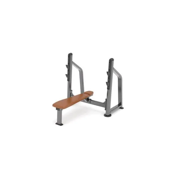 Скамья горизонтальная для жима лежа AnyFit PEB101