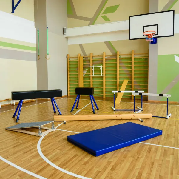 Мат гимнастический (ПВХ 630, без поролона) 1x2x0,1 м ZAVODSPORTA