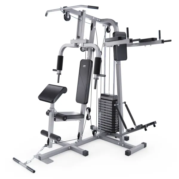 Силовой комплекс DFC HomeGym D7002-60