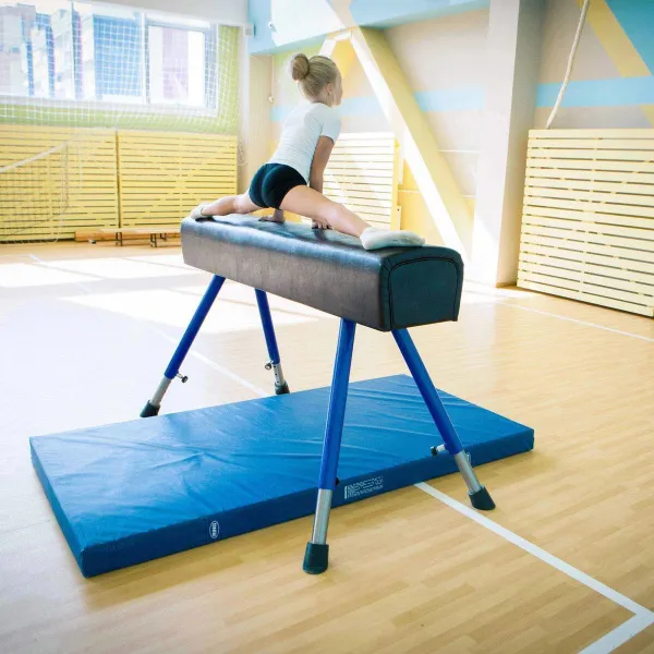 Мат гимнастический (ПВХ 630, без поролона) 1x2x0,1 м ZAVODSPORTA