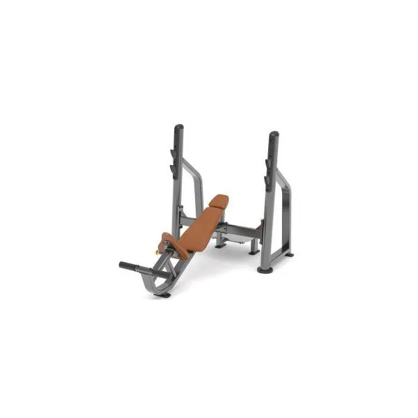 Скамья для жима лежа с положительным углом наклона AnyFit PEB102