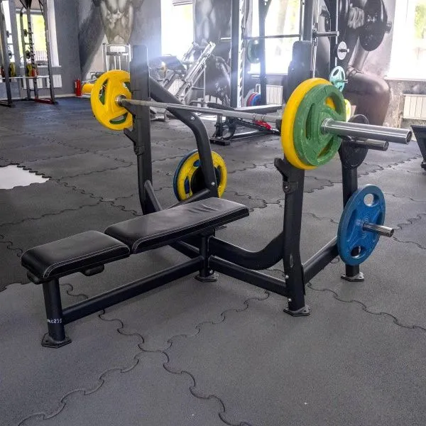 Скамья для жима Realleader FW-1001 (синяя рама, черная обивка)