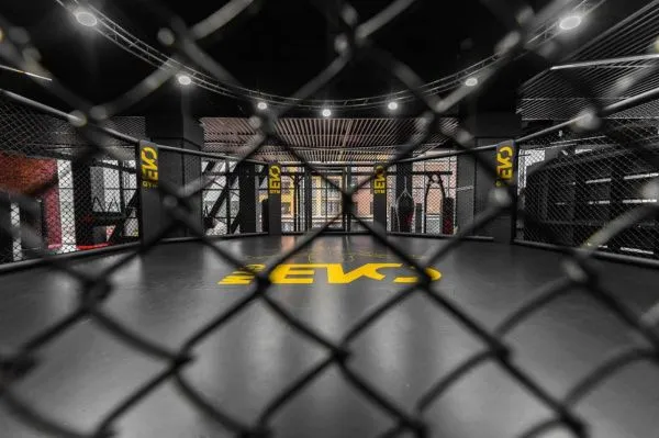 Октагон TARGEX на помосте высотой 1 м