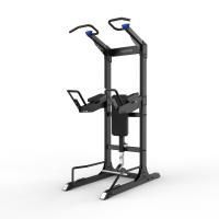 Турник/брусья/пресс Protrain GT-PTR (опция GT-PTR-PDA в комплекте)