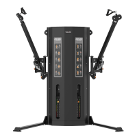 Тренажер Smith RE8046 Двойная регулируемая тяга
